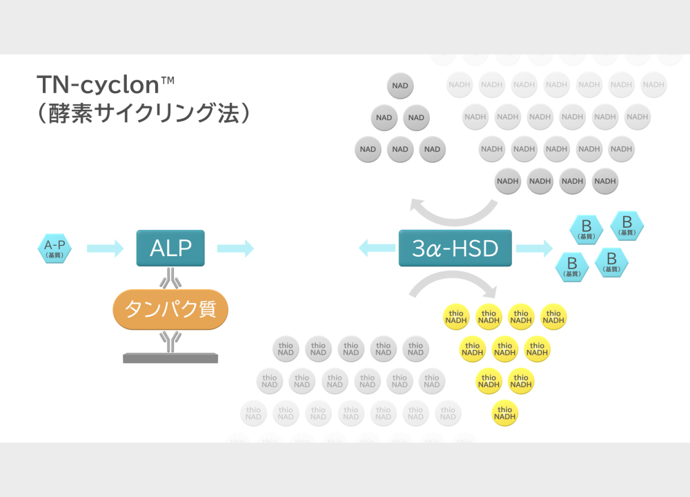 プレゼンテーション資料と解説動画のサムネイル